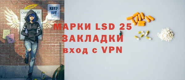 стаф Баксан