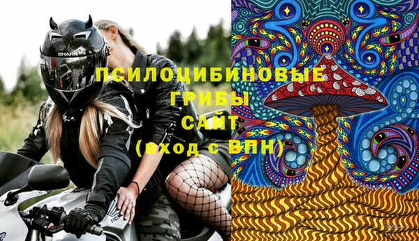 стаф Баксан