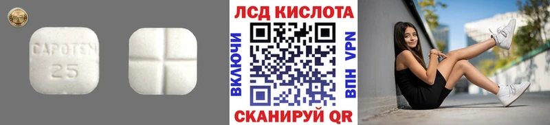 сколько стоит Пудож Лсд 25 экстази ecstasy